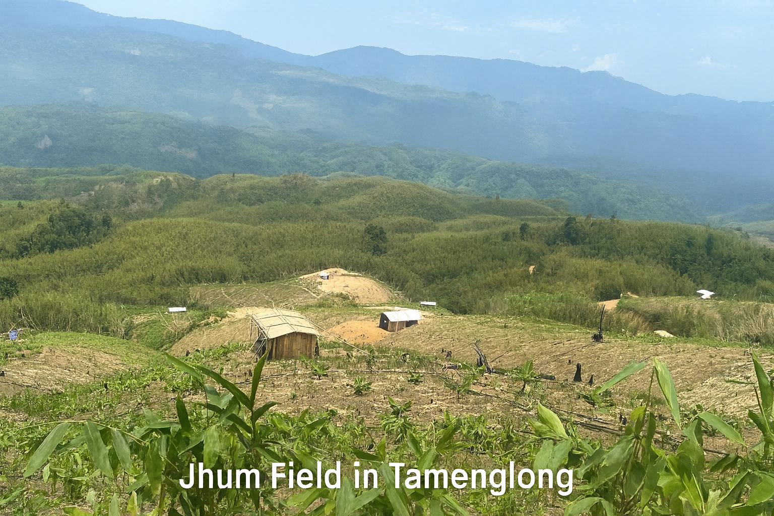 Carbon Markets and Indigenous Peoples in Northeast India 2