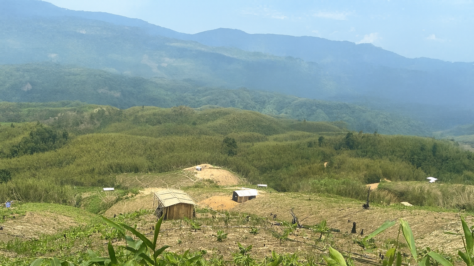 Carbon Markets and Indigenous Peoples in Northeast India: A Critical Reflection