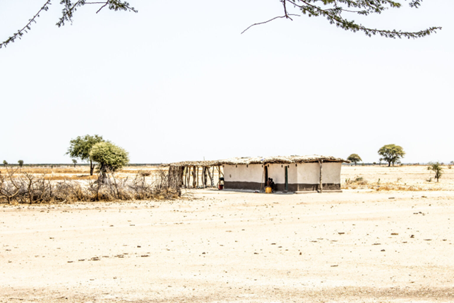 EACOP will require access to more than 4,000 hectares of land. Tabora Region. Photo: PINGO’s Forum