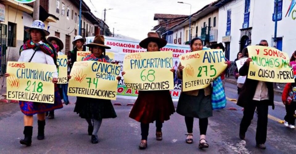 Peru Febrero 2024 2 768x510 2