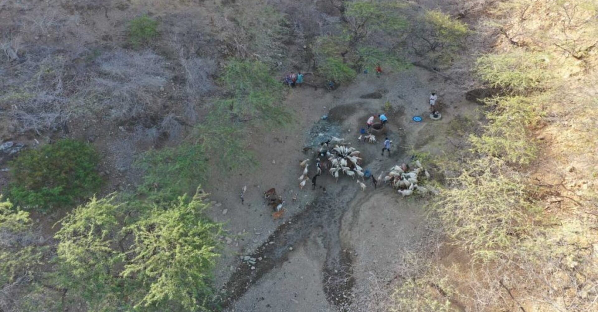 El Cerrejón, the Wayuu struggle and coal for Germany: the double standards of the energy transition