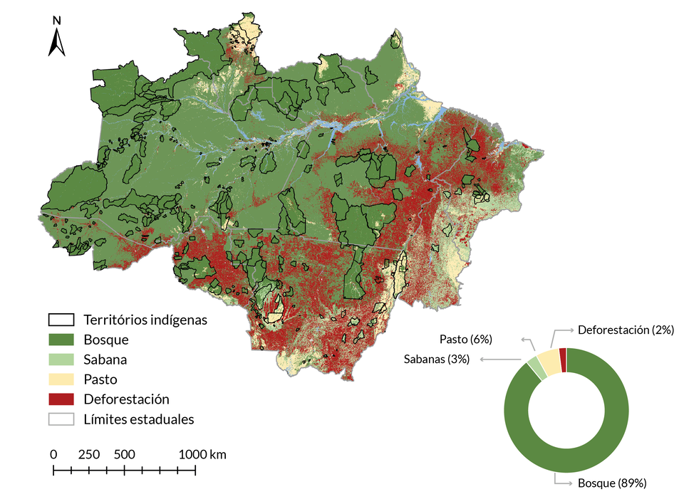 Debates Indigenas Brasil Noviembre 2024 4