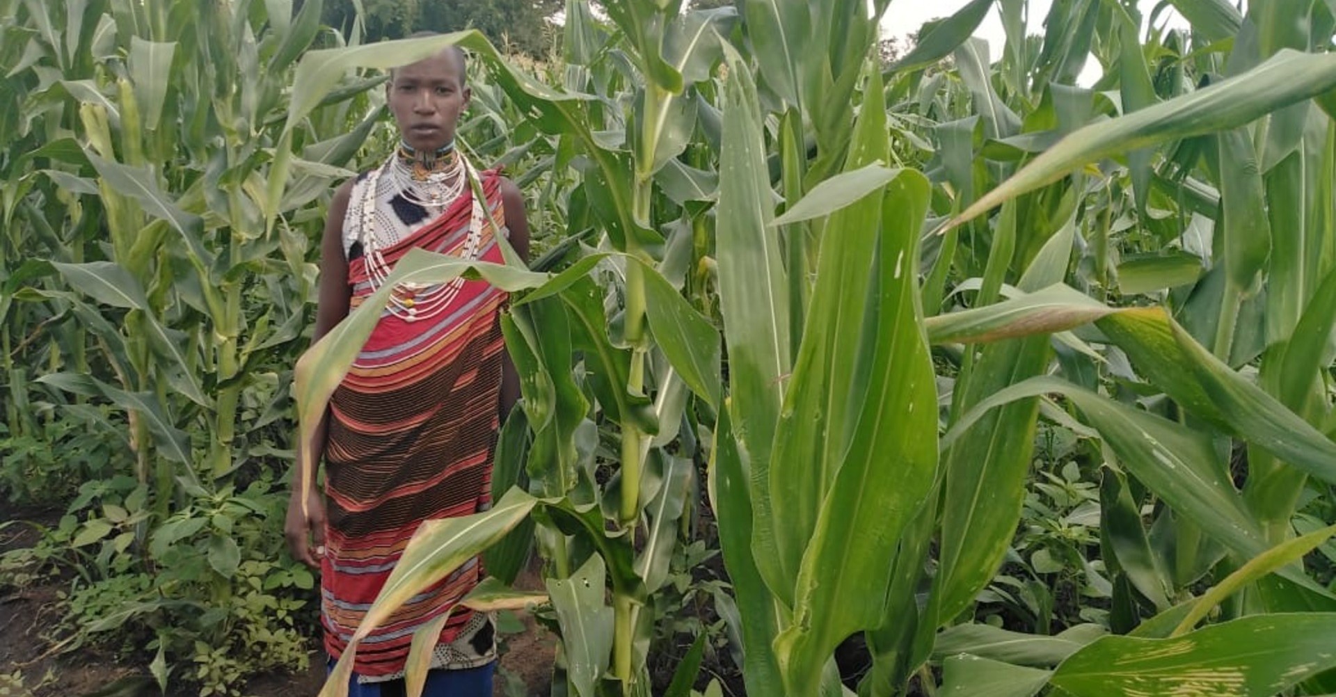 From Data to Action: Community-Based Irrigation for Food Security among Maasai Women in Kenya