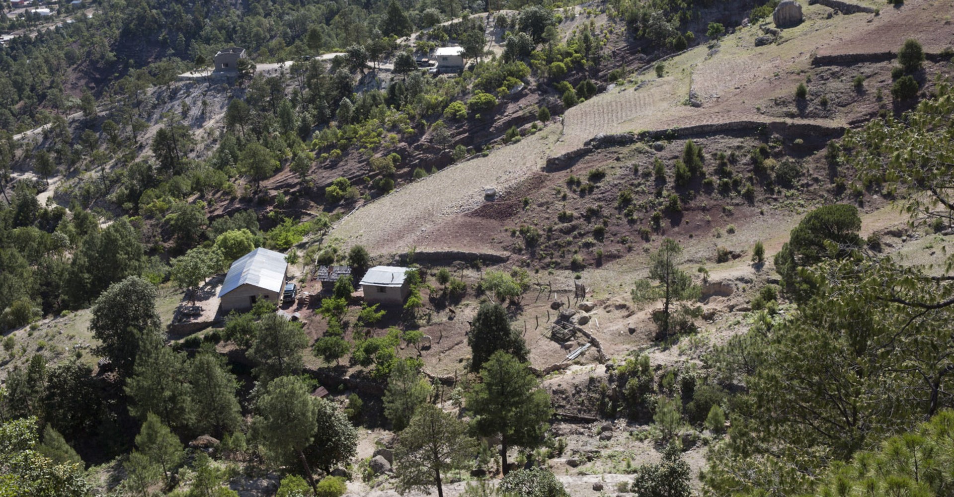 Forced Displacement in Indigenous Communities of the Sierra Tarahumara