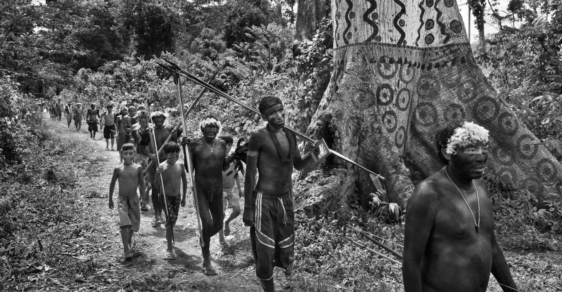 Forest recognition for Papua tribe raises hopes for climate, Environment  News