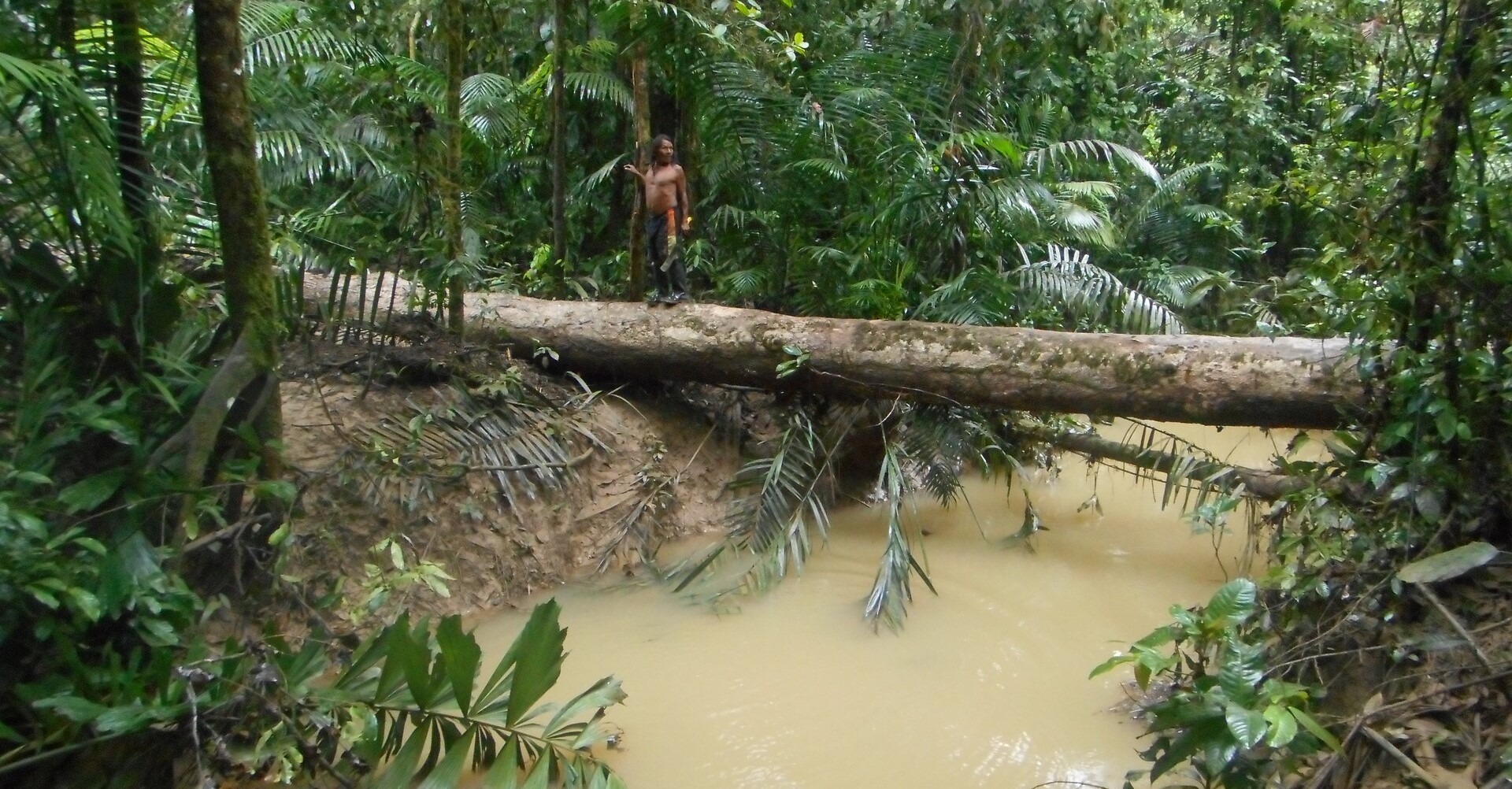 El mapeo para la protección de los Pueblos Indígenas en Aislamiento: disputas geográficas en el Yasuní