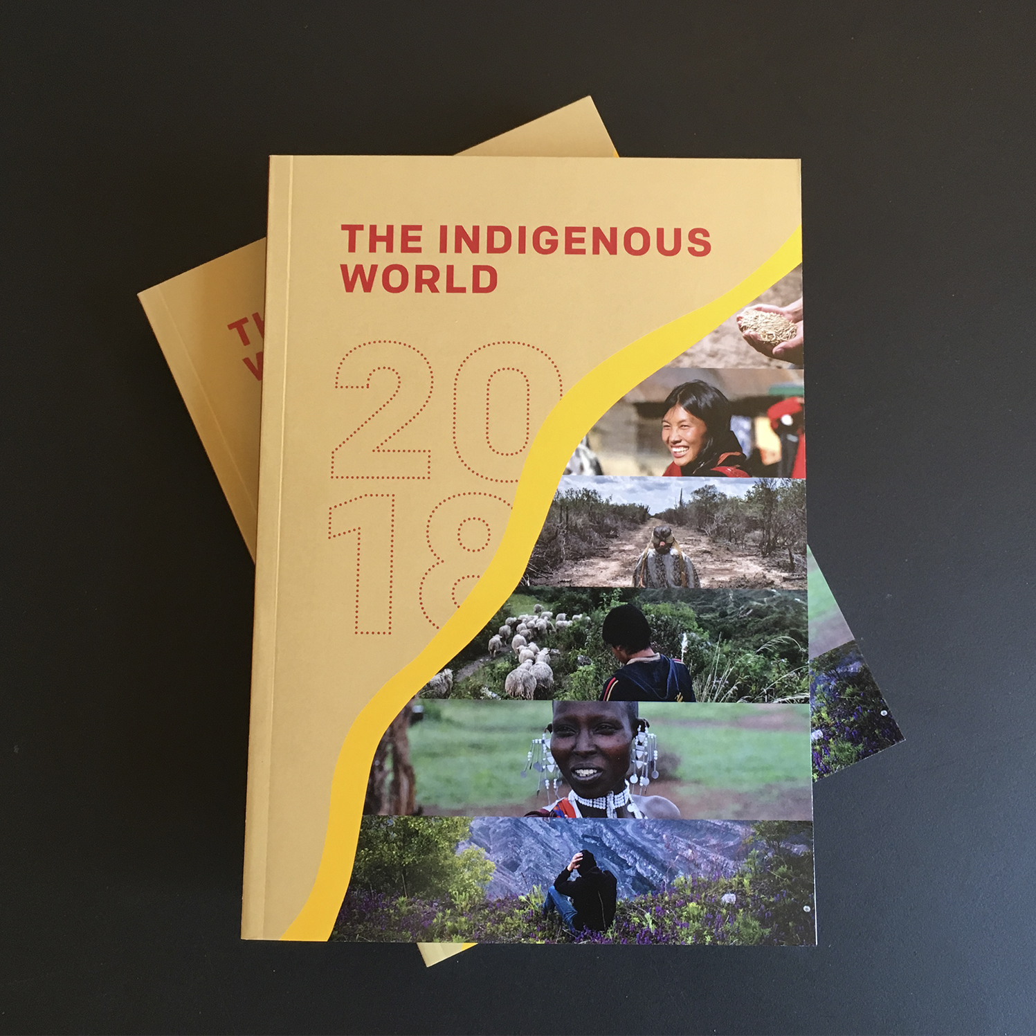 The Indigenous World 2018