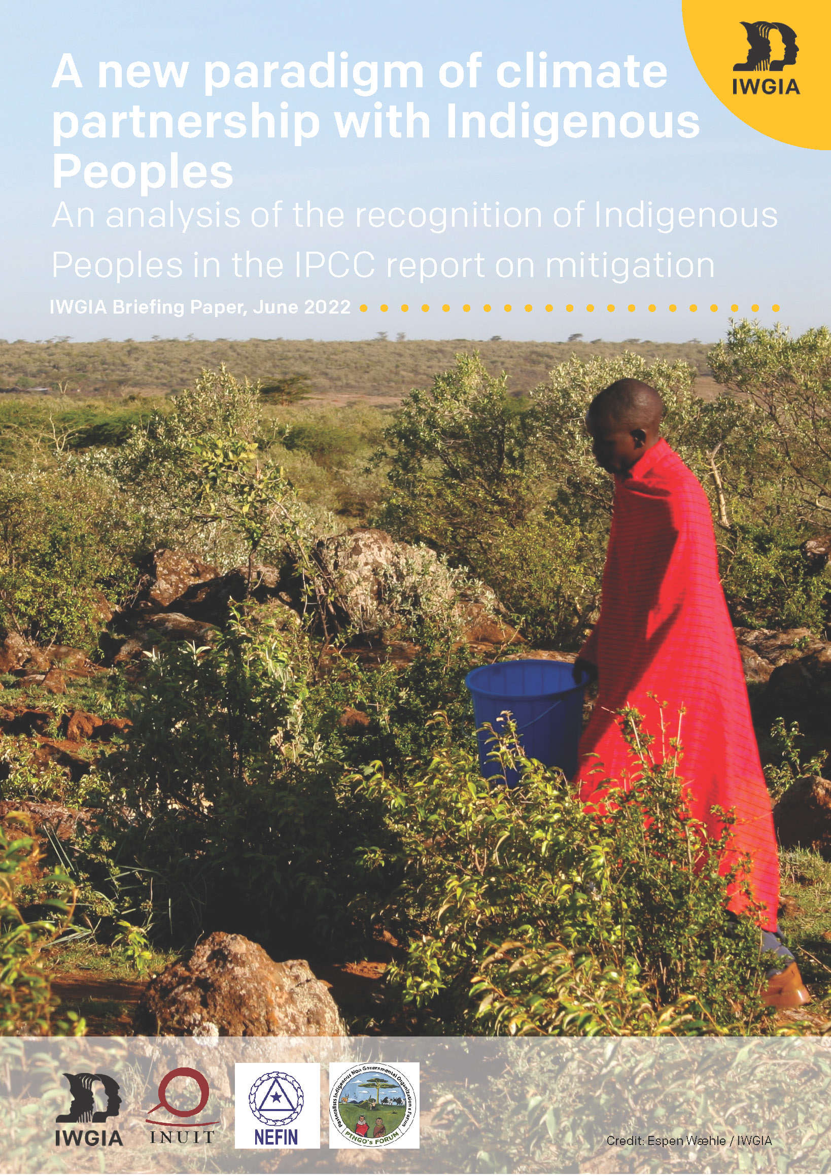 IWGIA IPCC WGIII Briefing Paper June 2022